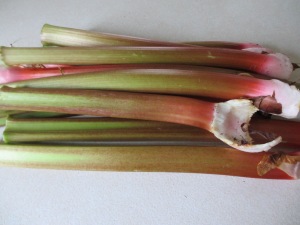 First Rhubarb of the Year